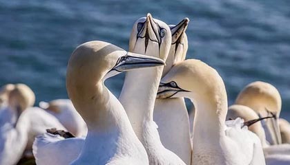 临海最新公积金卡提取现金方法app方法分析(最方便真实的临海公积金卡怎样从手机里取出来?方法)