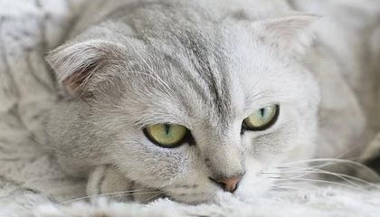 临海最新公积金卡提取现金方法app方法分析(最方便真实的临海公积金卡怎样从手机里取出来?方法)