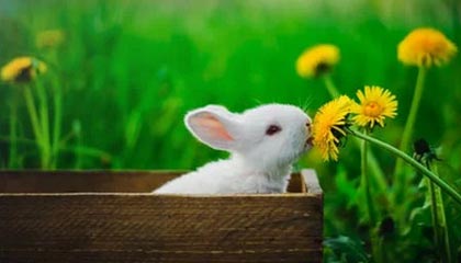 临海最新公积金卡提取现金方法app方法分析(最方便真实的临海公积金卡怎样从手机里取出来?方法)